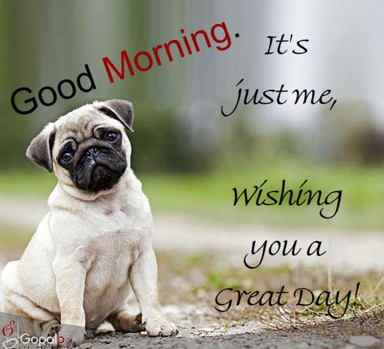 Images Of Nature Wishing Good Morning Images Of Nature Wishing Good Morning