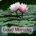 Morning Is Beautiful.