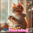 Nice Day, Isn’t It?