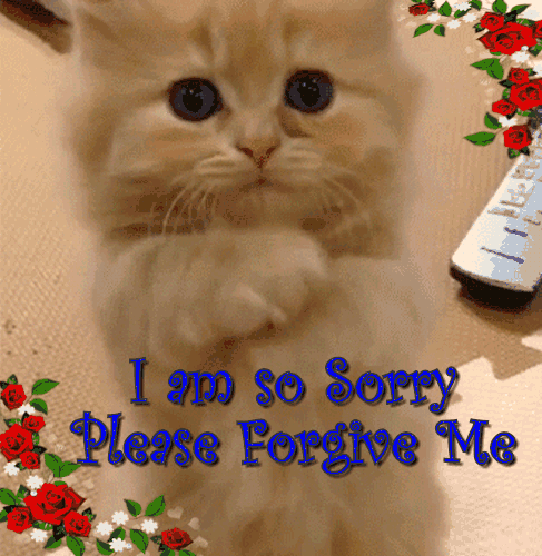 Kitty Says, "Please Forgive Me!"