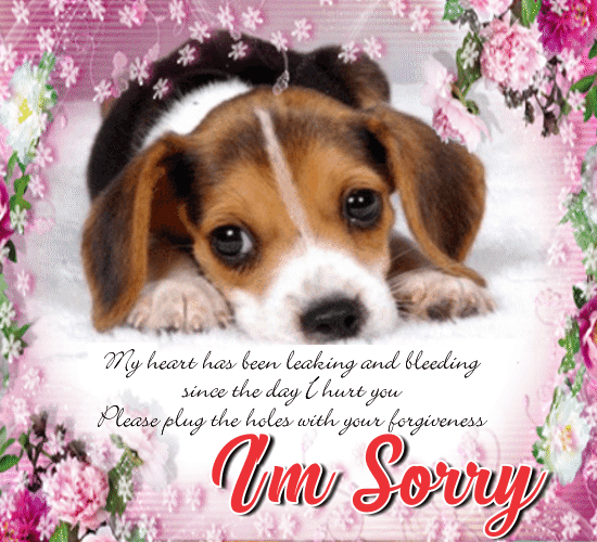 My Cute Apology Ecard! Free Sorry eCards, Greeting Cards | 123 Greetings
