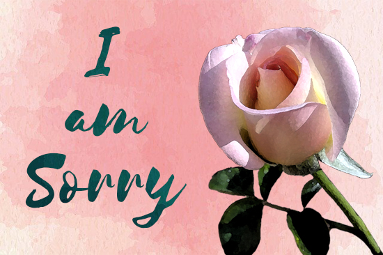 I Am Sorry For Everything
