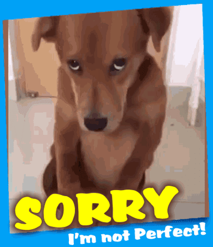 A Cute Apology Card For You.
