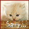 'Sorry' Kitten!
