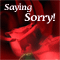 Roses Are Saying Sorry!