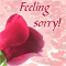A Flower To Say Sorry!!