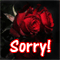 A Little Message To Say Sorry!