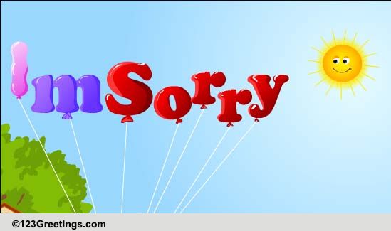 sorry teddy bear online
