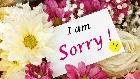 I Disappointed You! I Am Sorry. Free Sorry Ecards, Greeting Cards 