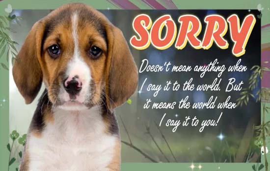 sorry-doesn-t-mean-anything-free-sorry-ecards-greeting-cards-123