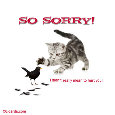 Cute Apology.