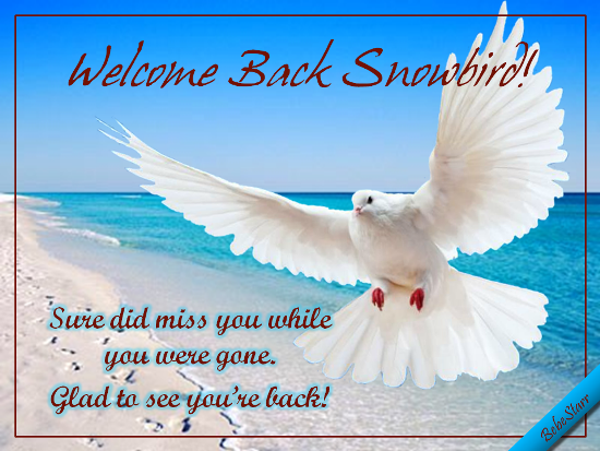 Welcome Back Snowbird!