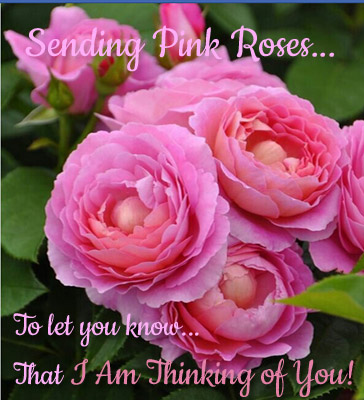 Sending Pink Roses...