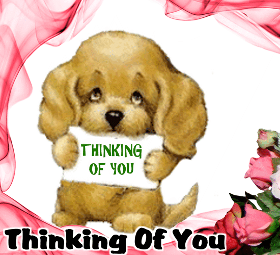 Thinking Of You A Lot! Free Thinking of You eCards, Greeting Cards | 123  Greetings