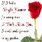 If I Had A Single Flower.