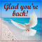 Welcome Back Snowbird!