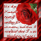 Thinking Of You Rose!