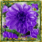 Sending These Flowers For You!