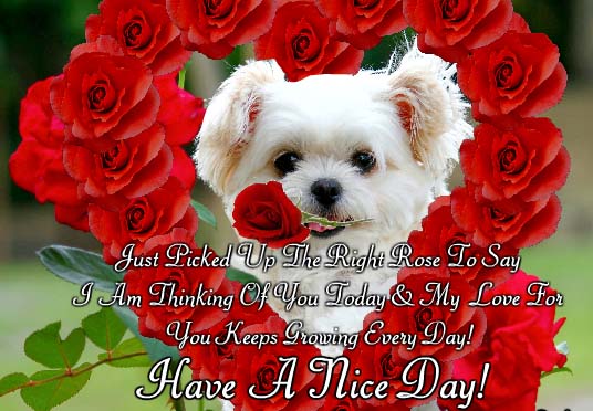 My Love For You Grows Everyday! Free Thinking of You eCards | 123 Greetings