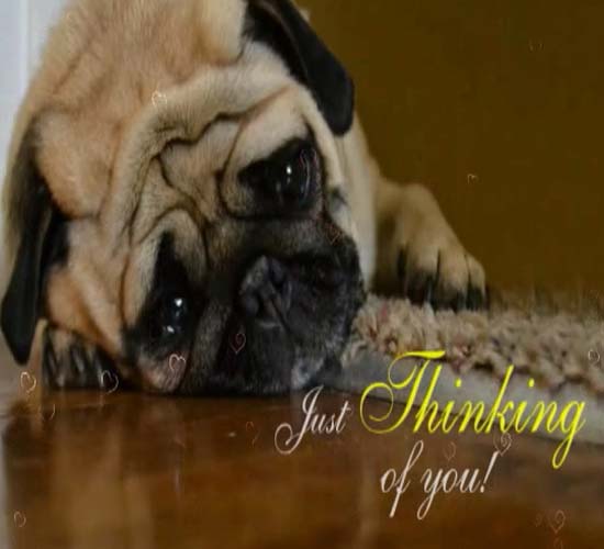 Thinking About You All Day Free Thinking Of You Ecards Greeting Cards 123 Greetings 4131