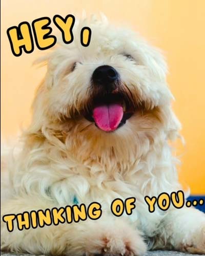 Cute Thinking Of You Ecard Free Thinking Of You Ecards Greeting Cards 123 Greetings 1458