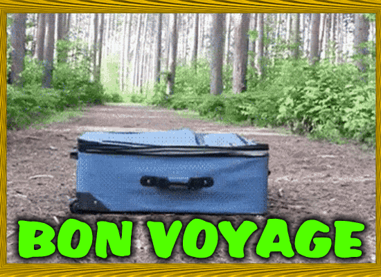 A Funny Bon Voyage Card For You.