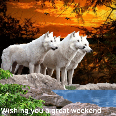 Image result for Wishing you a Beautiful Weekend