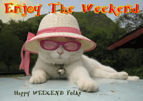 have a good weekend cat