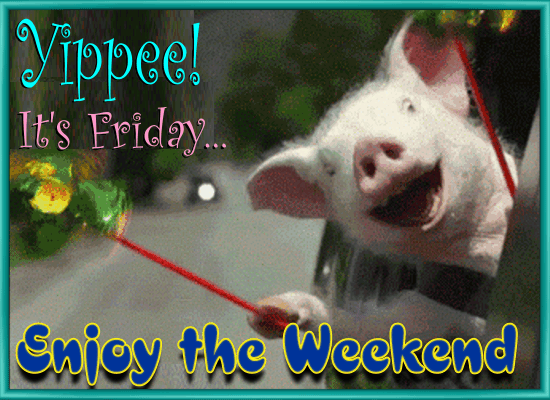 Piggy Wants To Enjoy The Weekend.