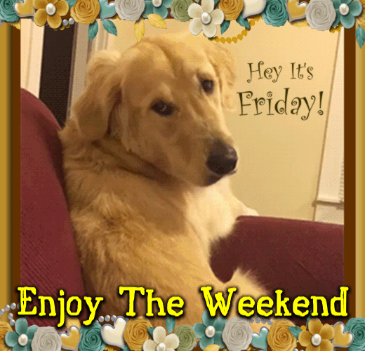 Doggy Likes Friday!!