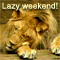 Lazy Weekend!