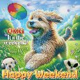 OMG It’s The Weekend!