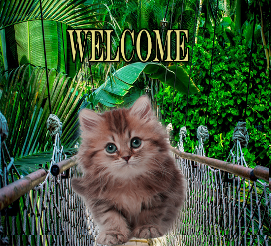 Cat Welcomes You. Free You are Welcome eCards, Greeting Cards | 123