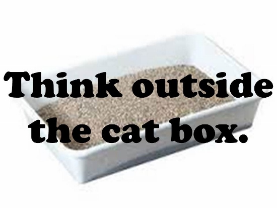 Think Outside The Cat Box.