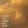 His Rainbow For You.