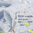 Winter Is Outside Not In Your Heart!
