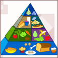 The Food Pyramid Guide!