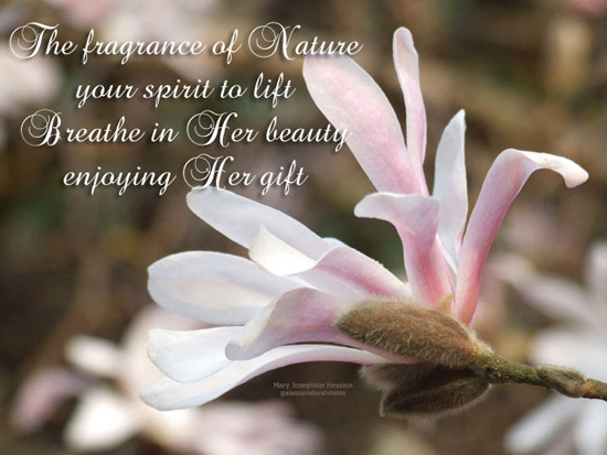 The Fragrance Of Nature.