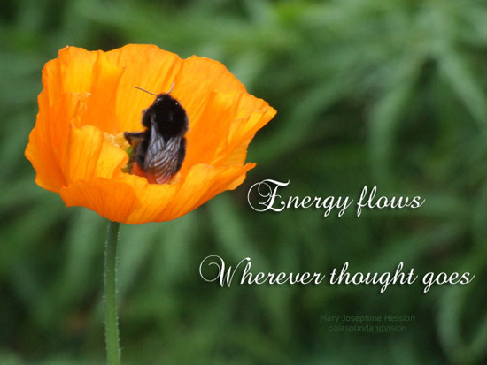 Energy Flows Wherever Thought Goes.