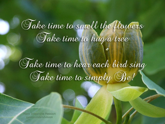 Take Time To Smell The Flowers Free Poetry Ecards Greeting Cards