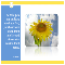 Monday%92s Quotation.