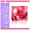 Wednesday%92s Quotation.