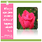 Sunday%92s Quotation...