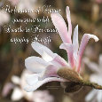 The Fragrance Of Nature.