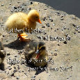 Let There Be Laughter.