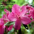 Love Is.