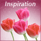 Inspiration Support!