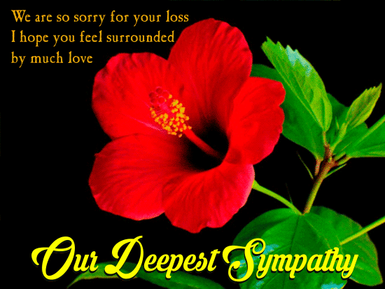 A Sympathy Card For Someone’s Loss.