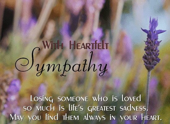 Featured image of post 123 Greetings Free Ecards Sympathy Find the perfect inspirational message to say i m here with you in our selection of free sympathy ecards
