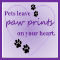 Pets Leave Paw Prints On Your Heart.